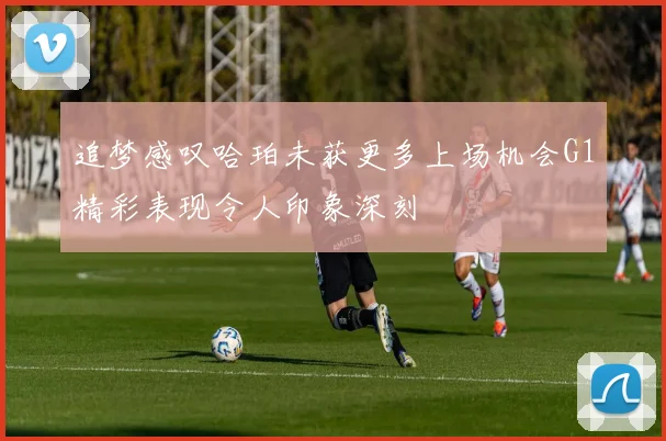 追梦感叹哈珀未获更多上场机会G1精彩表现令人印象深刻