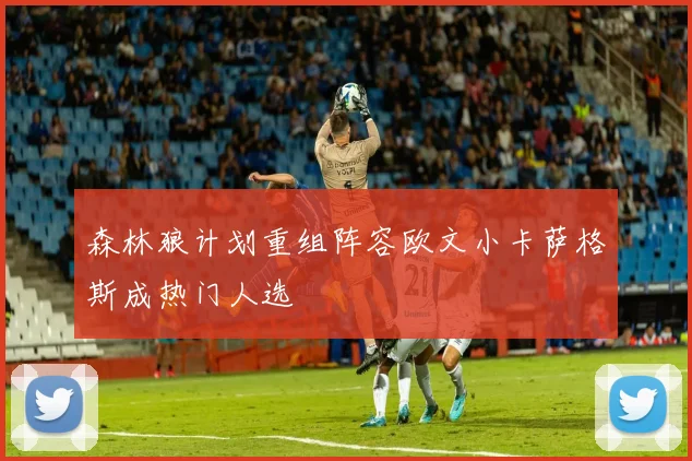 森林狼计划重组阵容欧文小卡萨格斯成热门人选