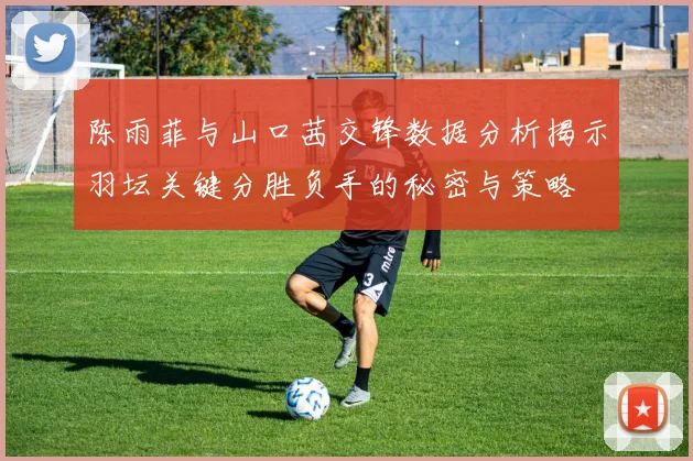 陈雨菲与山口茜交锋数据分析揭示羽坛关键分胜负手的秘密与策略