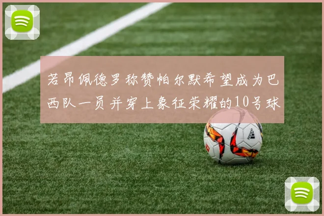 若昂佩德罗称赞帕尔默希望成为巴西队一员并穿上象征荣耀的10号球衣