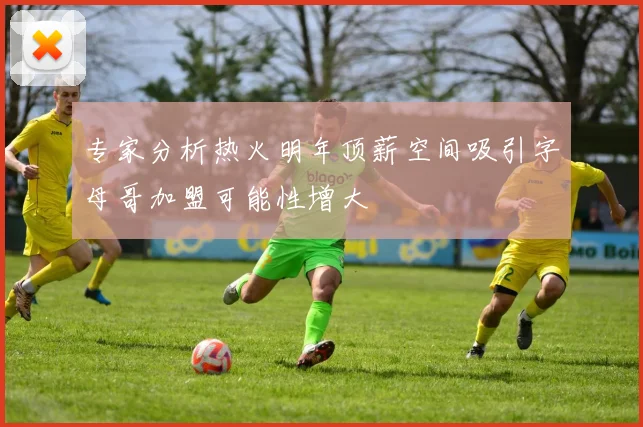 专家分析热火明年顶薪空间吸引字母哥加盟可能性增大