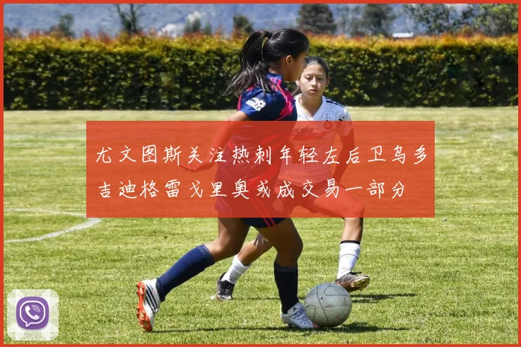 尤文图斯关注热刺年轻左后卫乌多吉迪格雷戈里奥或成交易一部分